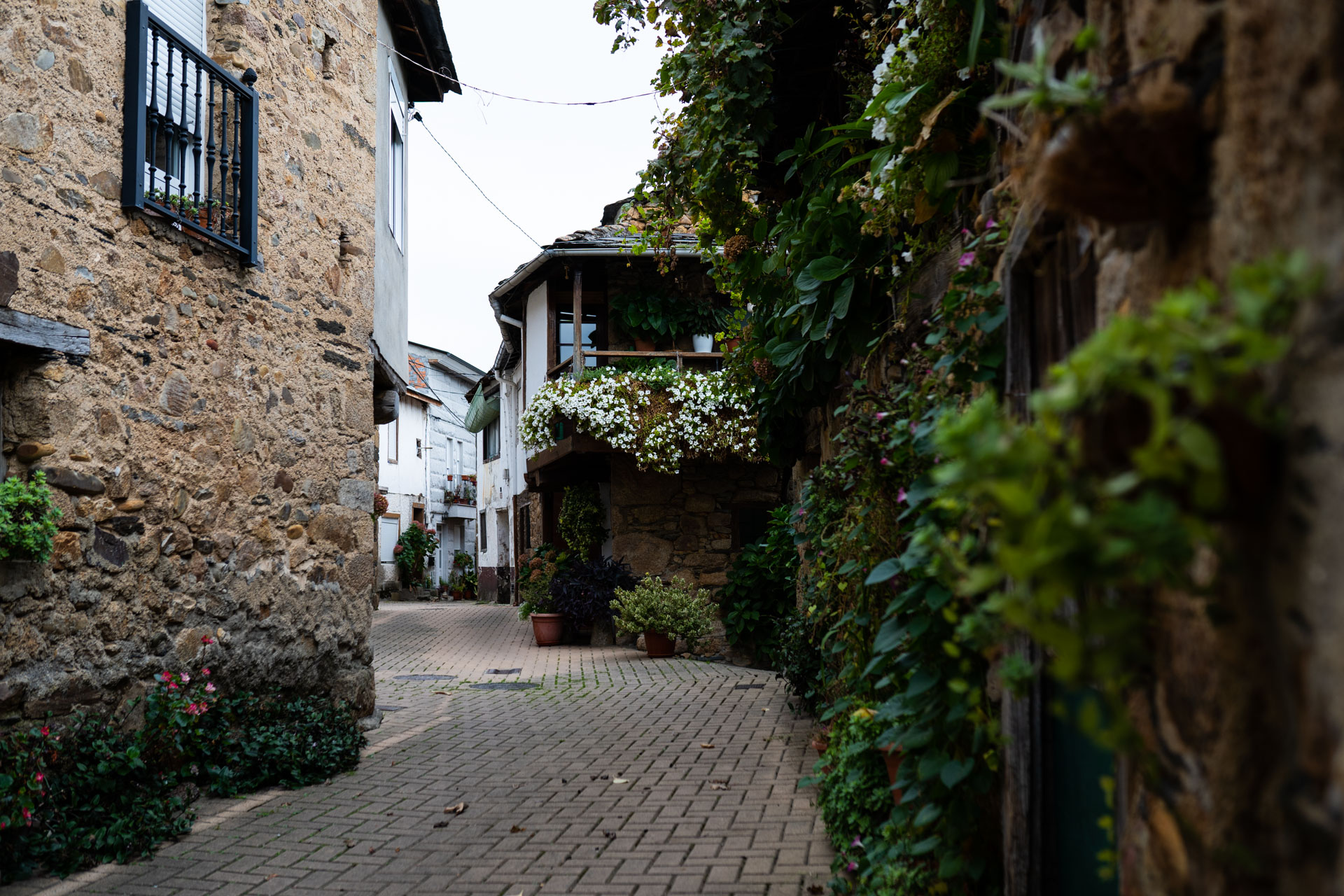 Geodestino Manzaneda Trevinca Valdeorras, un territorio que ya forma parte de Mr Turismo