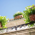 fotografía especializada