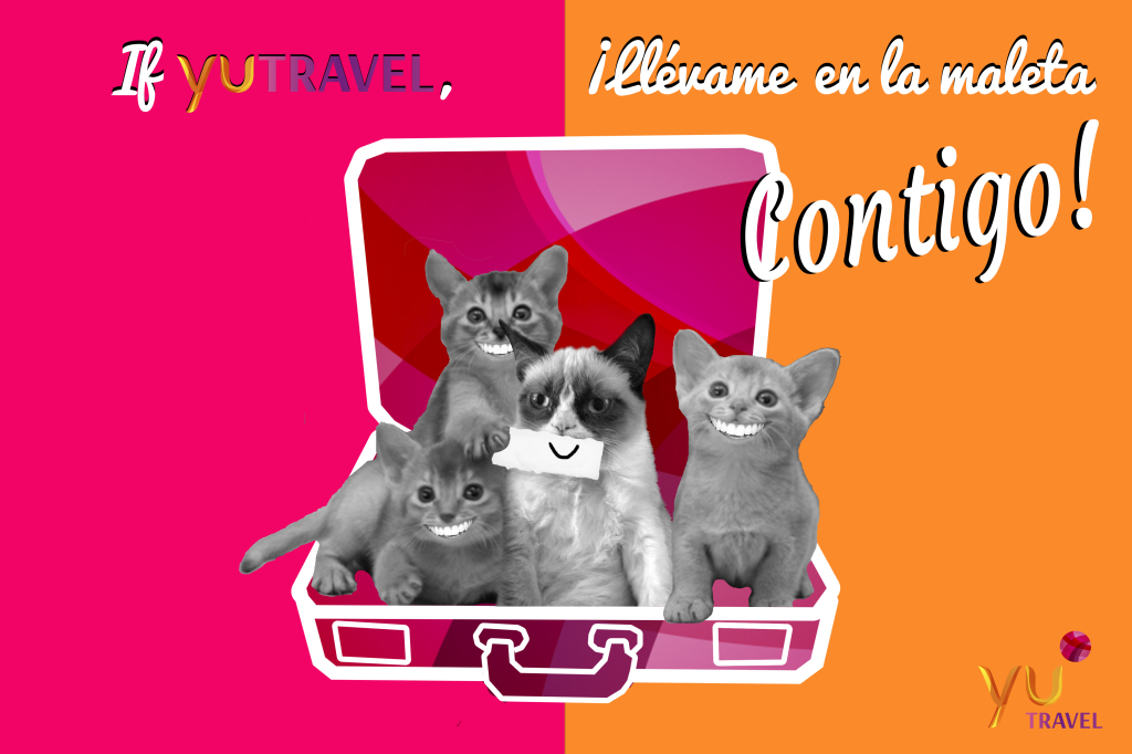 Creatividad YuTravel